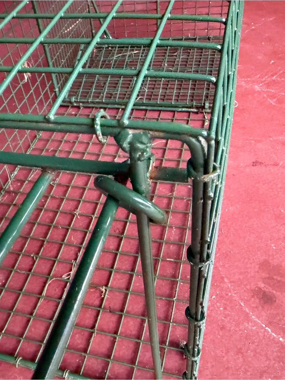 Duke Traps HD Large Cage Trap with Top Carry Handle